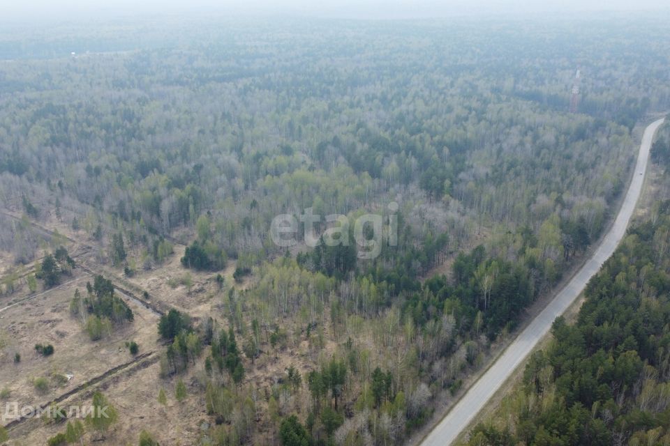 земля р-н Нижнетавдинский село Тюнево фото 4