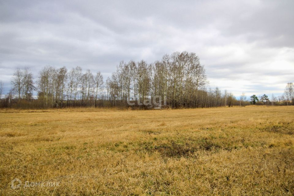 земля р-н Тюменский село Салаирка фото 2