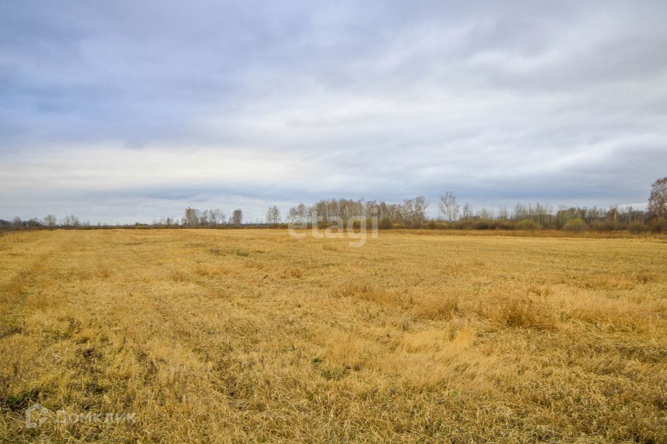 земля р-н Тюменский село Салаирка фото 4