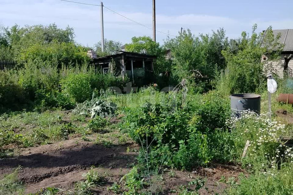 земля р-н Елабужский г Елабуга Республика Татарстан Татарстан, ДПК Дружба фото 6