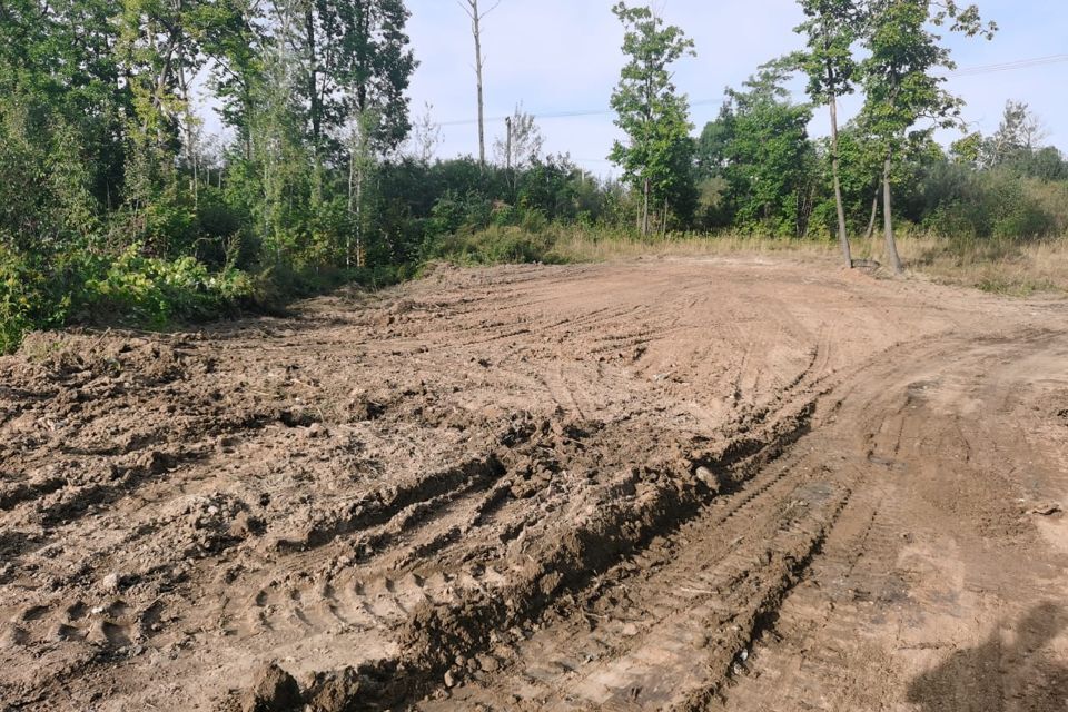 земля р-н Хабаровский село Осиновая Речка фото 8