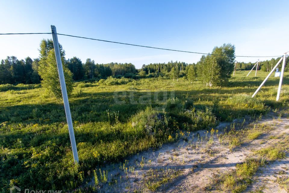 земля р-н Нижнетавдинский ДНП Журавли фото 8