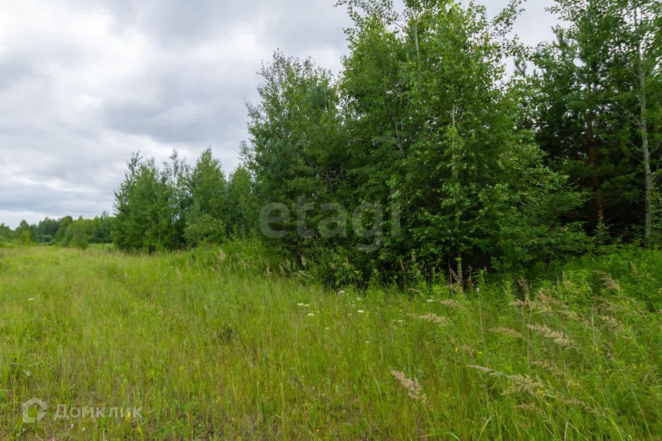 земля р-н Нижнетавдинский снт Геолог-2 Озеро Сундукуль фото 10