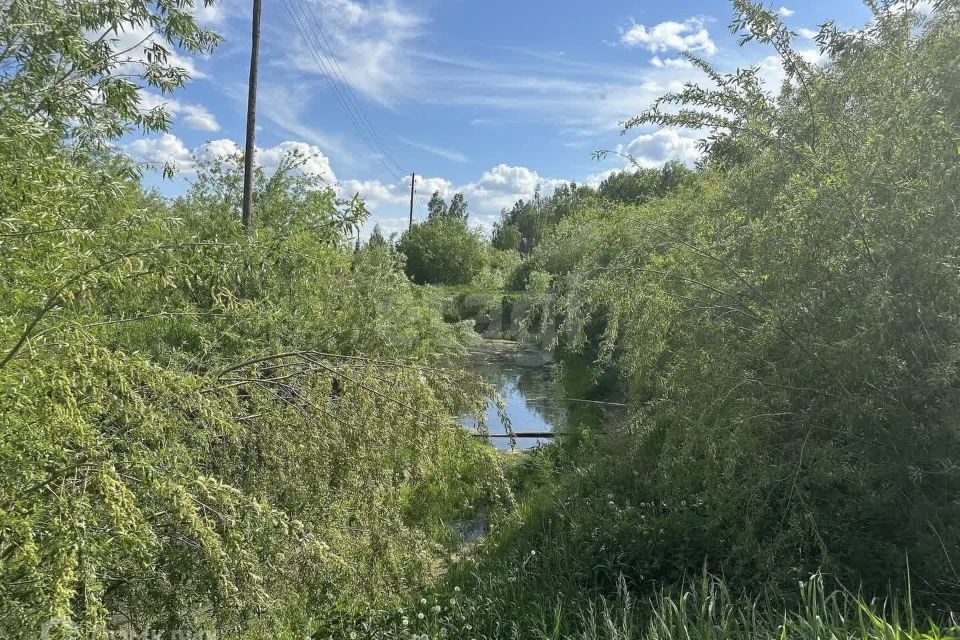 земля Суземское городское поселение, деревня Улица фото 8