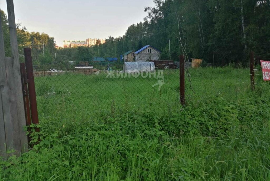 земля г Новосибирск р-н Октябрьский Октябрьская садовое некоммерческое товарищество Почётный ветеран фото 2