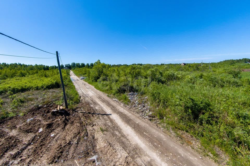 земля г Тюмень снт Зеленая Роща городской округ Тюмень, 11-я улица фото 8