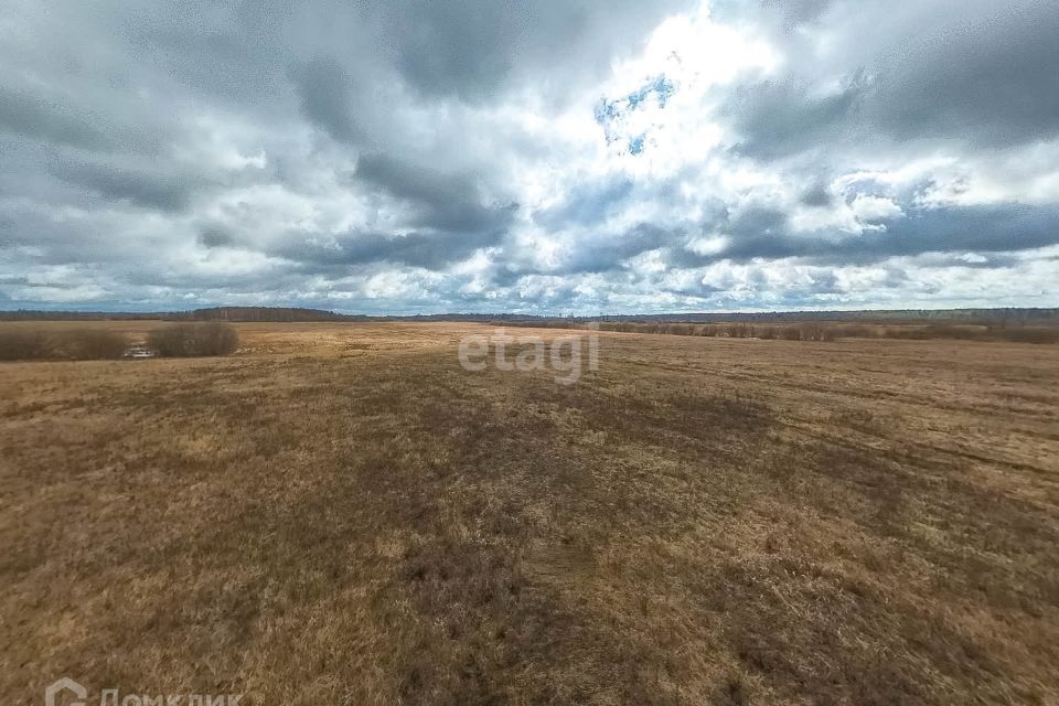 земля р-н Тюменский село Салаирка фото 5