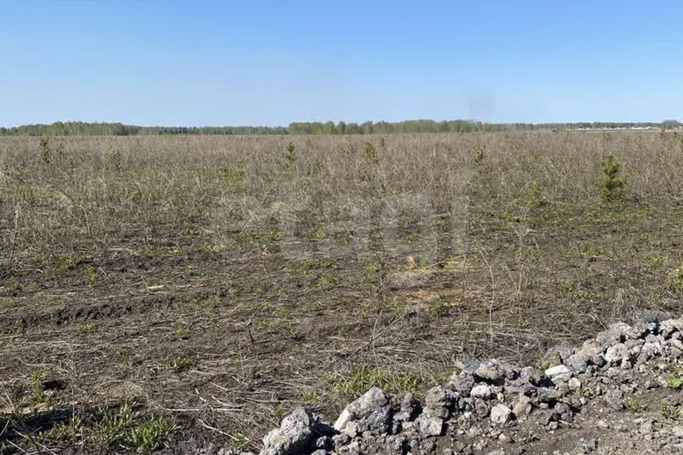 земля р-н Тюменский д Малиновка коттеджный посёлок Вольные Угодья фото 7