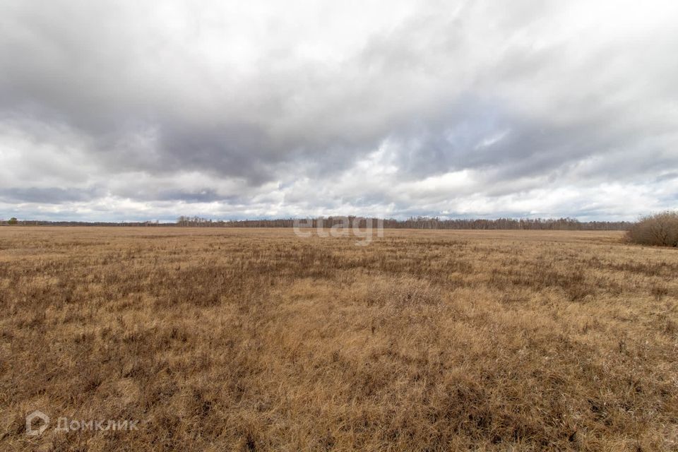 земля р-н Тюменский село Салаирка фото 8