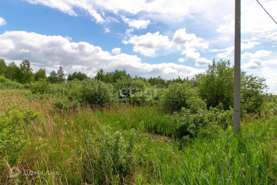 земля г Тюмень снт Липовый остров городской округ Тюмень, 13-я Восточная улица фото 8