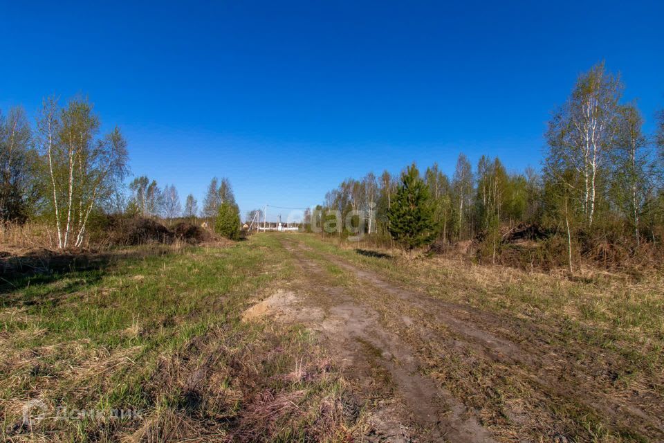 земля р-н Нижнетавдинский садовое товарищество Душевное фото 9