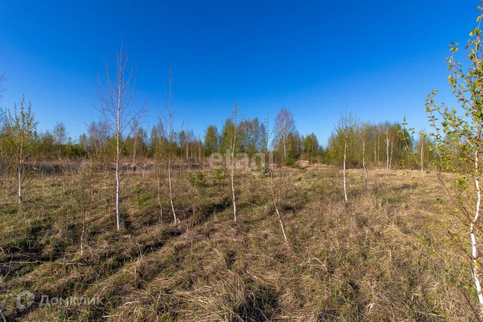 земля р-н Нижнетавдинский садовое товарищество Душевное фото 8