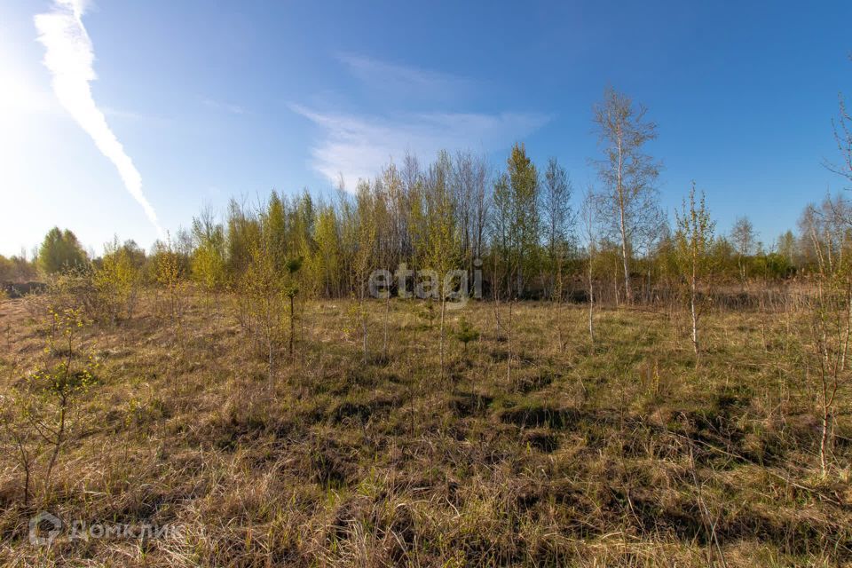 земля р-н Нижнетавдинский садовое товарищество Душевное фото 7