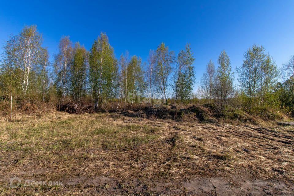 земля р-н Нижнетавдинский садовое товарищество Душевное фото 10