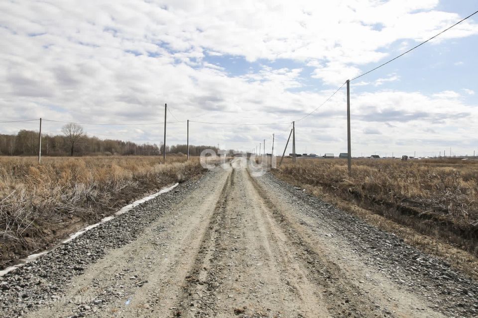 земля р-н Тюменский село Борки фото 5