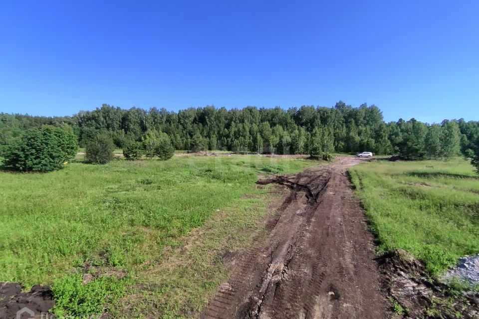 земля р-н Нижнетавдинский садоводческое некоммерческое товарищество Царицыно фото 9