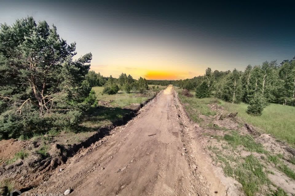 земля р-н Нижнетавдинский садоводческое некоммерческое товарищество Царицыно фото 10