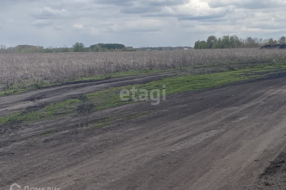 земля р-н Тюменский д Большие Акияры ул Новая фото 8