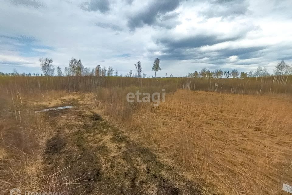 земля г Тюмень городской округ Тюмень, садоводческое некоммерческое товарищество Большое Царёво-2 фото 7