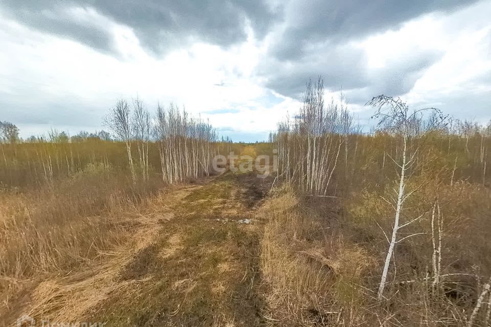 земля г Тюмень городской округ Тюмень, садоводческое некоммерческое товарищество Большое Царёво-2 фото 8