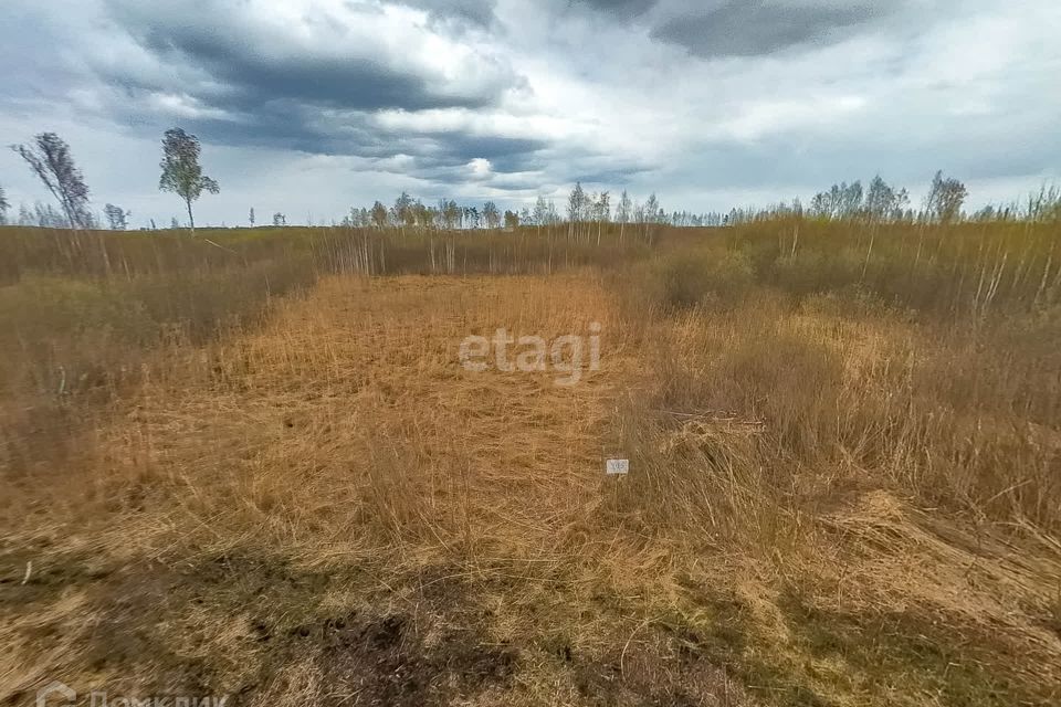 земля г Тюмень городской округ Тюмень, садоводческое некоммерческое товарищество Большое Царёво-2 фото 9