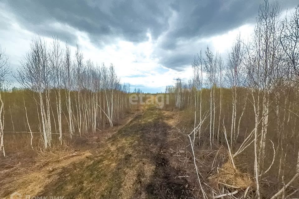 земля г Тюмень городской округ Тюмень, садоводческое некоммерческое товарищество Большое Царёво-2 фото 10