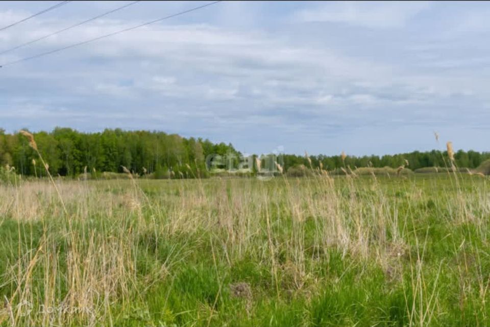 земля г Тюмень городской округ Тюмень, садовое товарищество Золотая Осень-2 фото 6