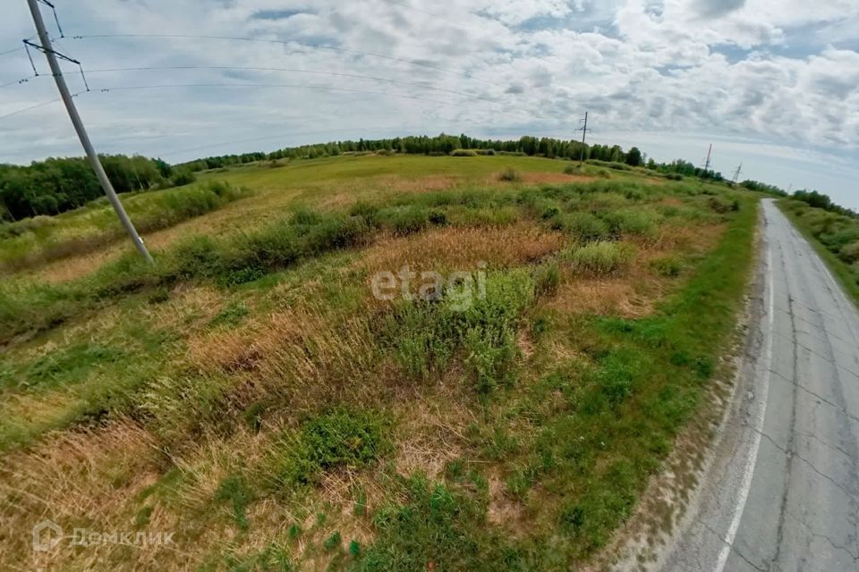 земля г Тюмень городской округ Тюмень, садовое товарищество Золотая Осень-2 фото 10