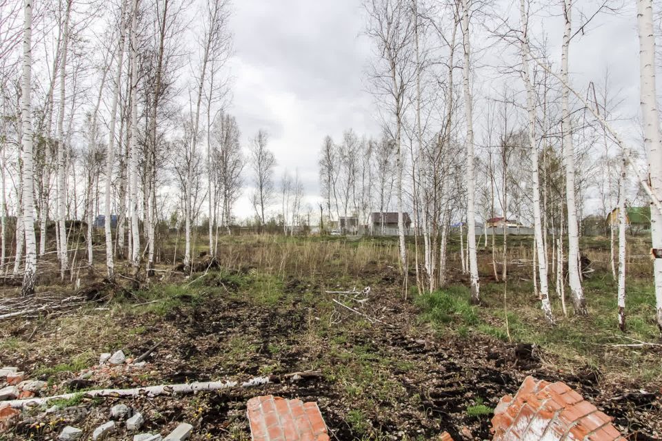 земля г Тюмень тракт Салаирский городской округ Тюмень фото 6