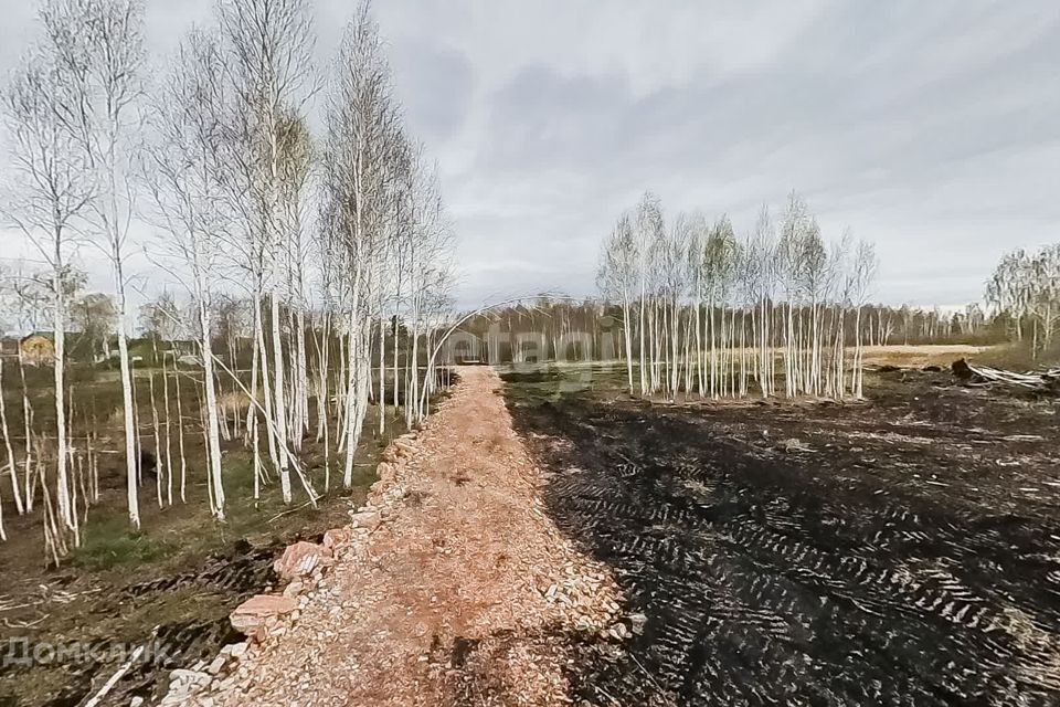 земля г Тюмень тракт Салаирский городской округ Тюмень фото 10