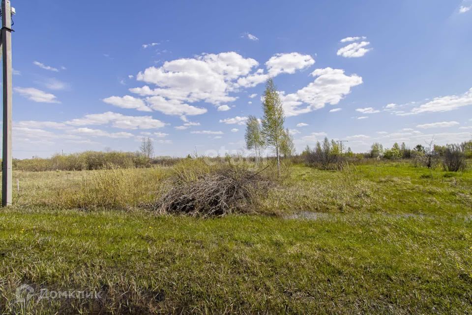 земля г Тюмень городской округ Тюмень, СНТ Надежда-3 фото 5