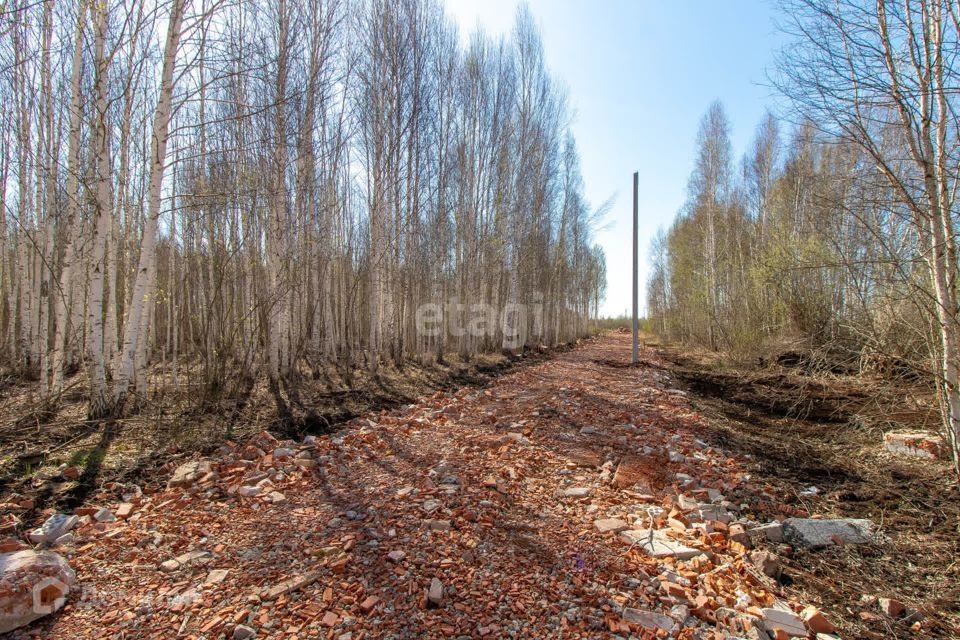 земля р-н Тюменский д Нариманова ул Строителей фото 6