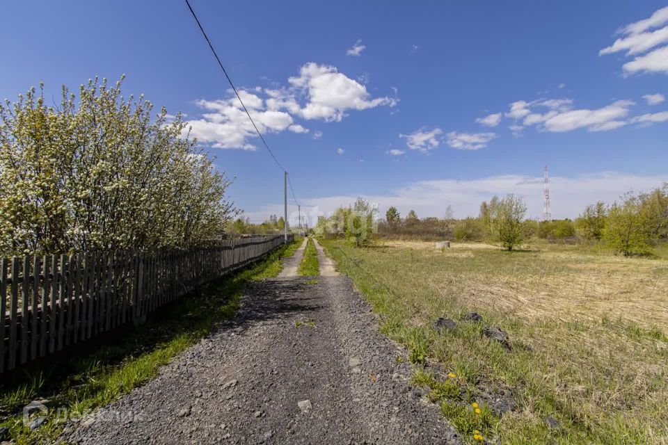 земля г Тюмень городской округ Тюмень, СНТ Надежда-3 фото 6