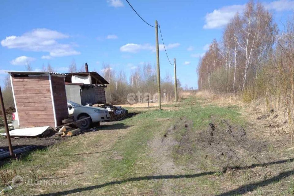 земля г Тюмень городской округ Тюмень, садоводческое некоммерческое товарищество Большое Царёво-2 фото 7