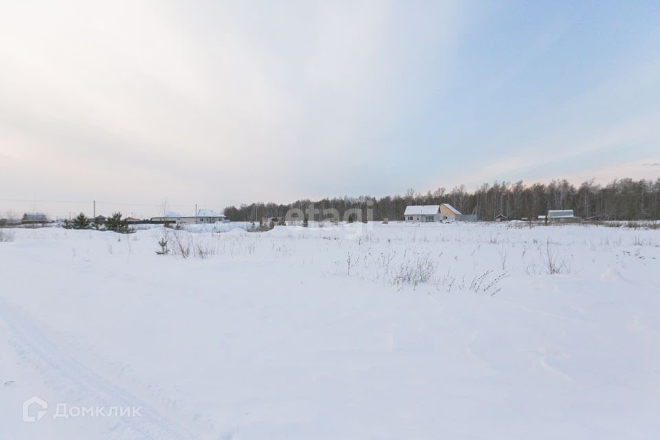 земля р-н Тюменский коттеджный посёлок Соловьиная роща фото 8