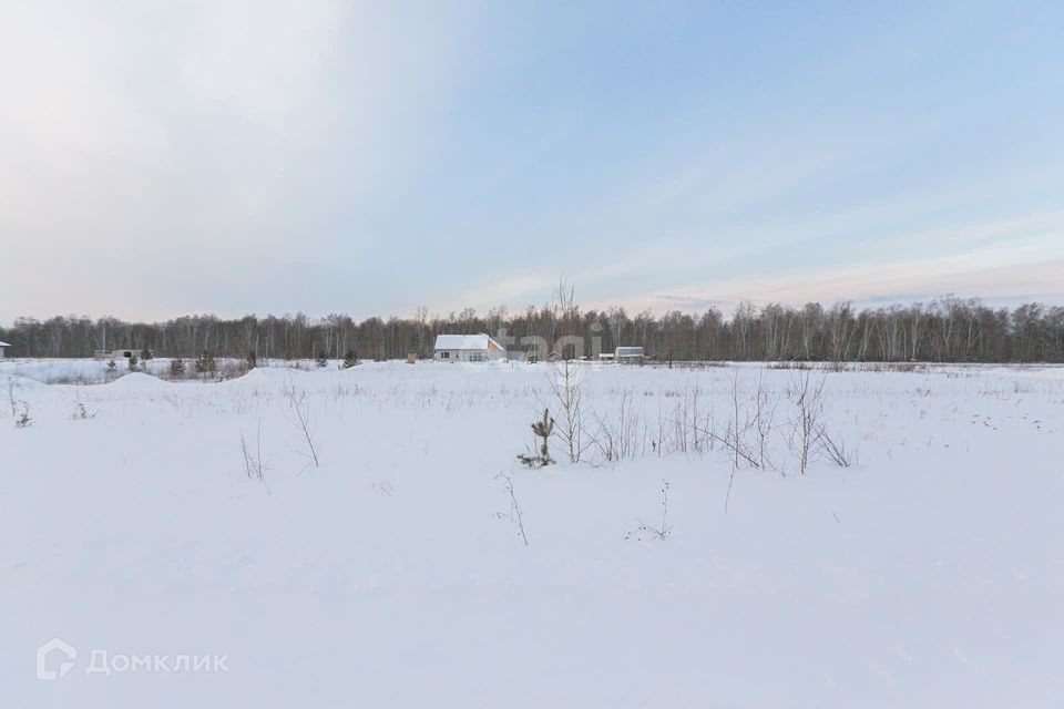 земля р-н Тюменский коттеджный посёлок Соловьиная роща фото 6