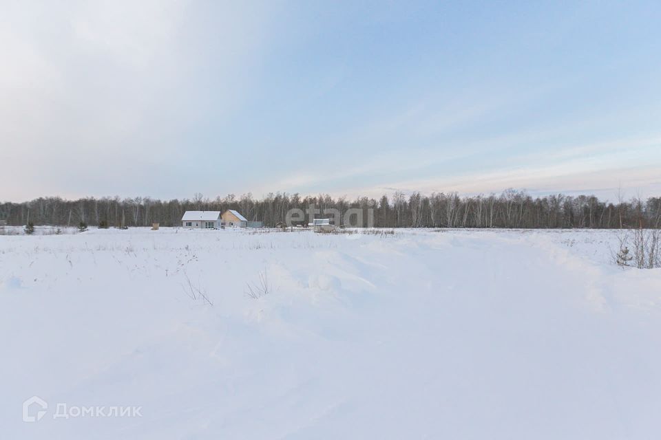 земля р-н Тюменский коттеджный посёлок Соловьиная роща фото 9