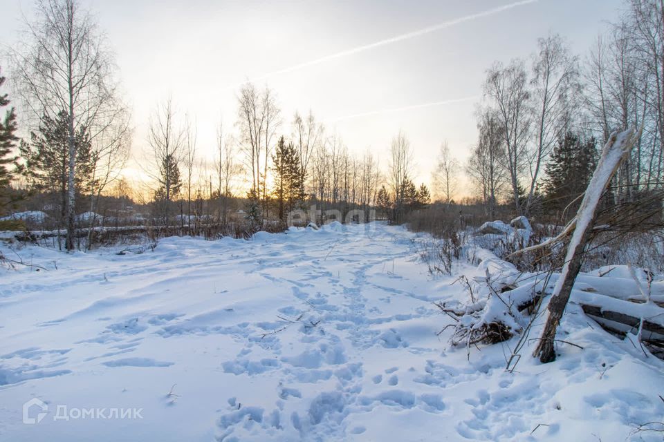 земля г Тюмень снт Сосновая поляна ул 25-я городской округ Тюмень фото 6