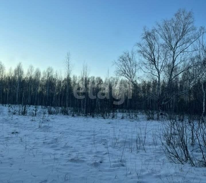 земля р-н Нижнетавдинский п Кунчур ул Новая фото 9