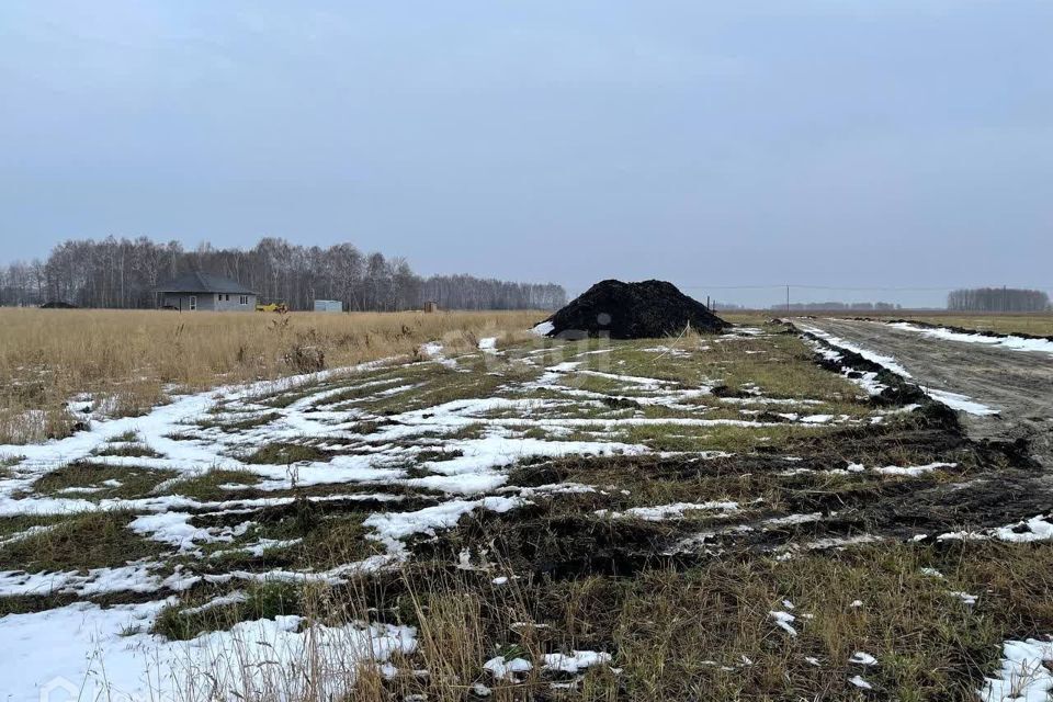 земля р-н Тюменский село Каменка фото 6