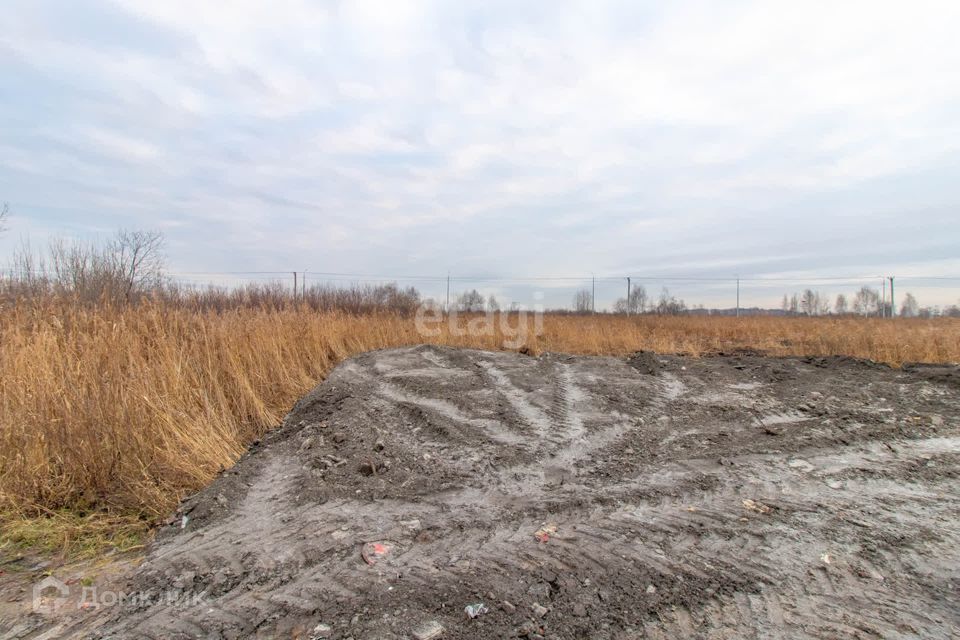 земля г Тюмень снт Матрешка городской округ Тюмень, Листопадная улица фото 5