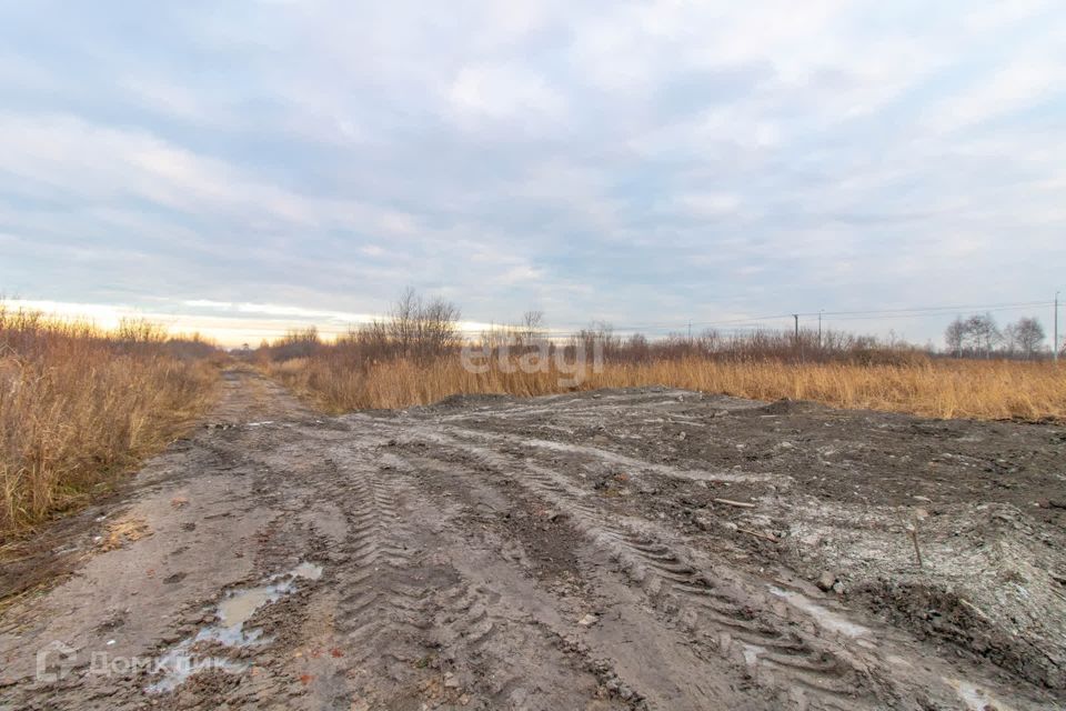 земля г Тюмень снт Матрешка городской округ Тюмень, Листопадная улица фото 6