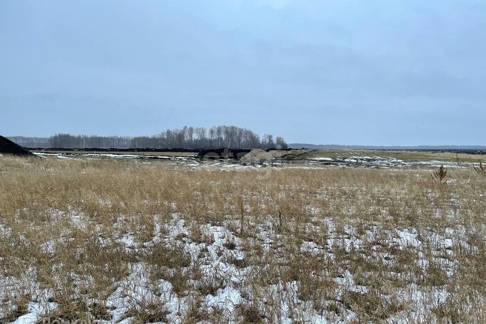 земля р-н Тюменский село Каменка фото 7