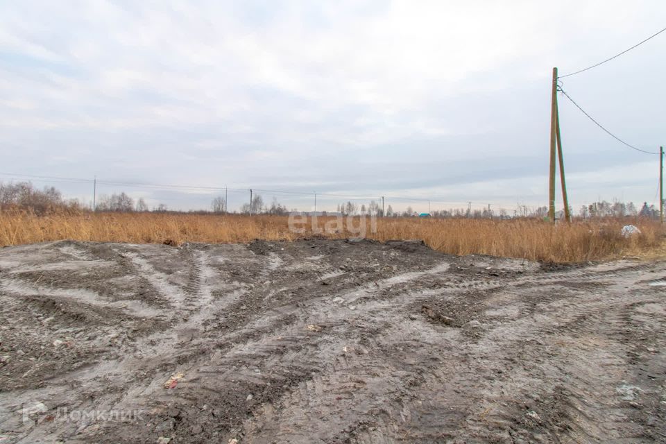 земля г Тюмень снт Матрешка городской округ Тюмень, Листопадная улица фото 7