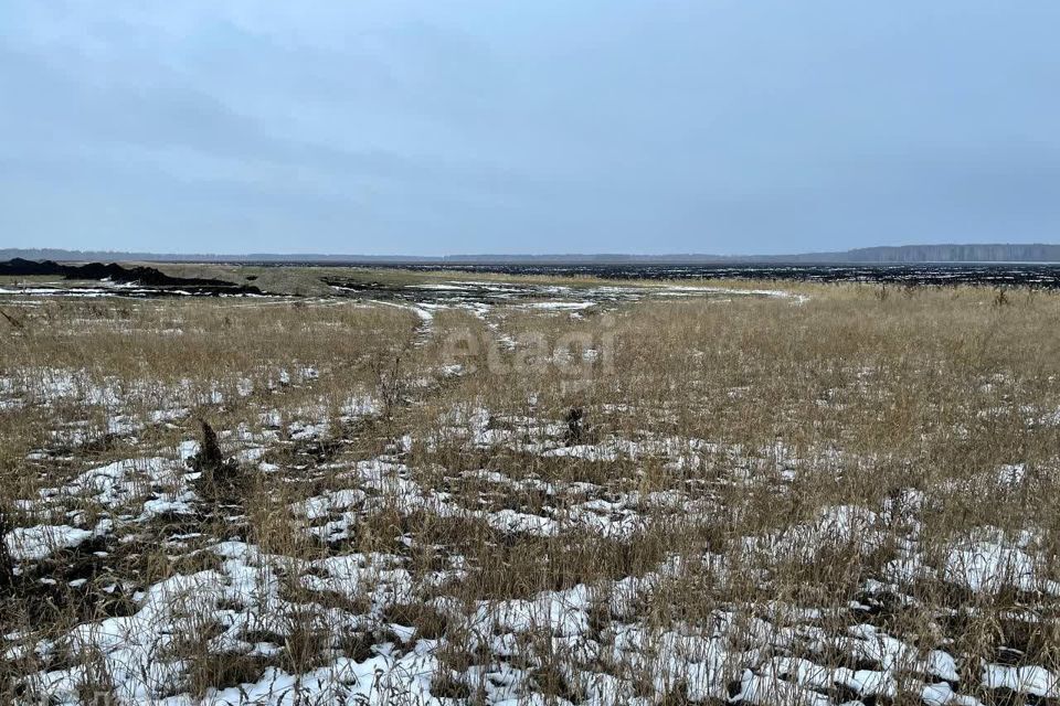 земля р-н Тюменский село Каменка фото 10