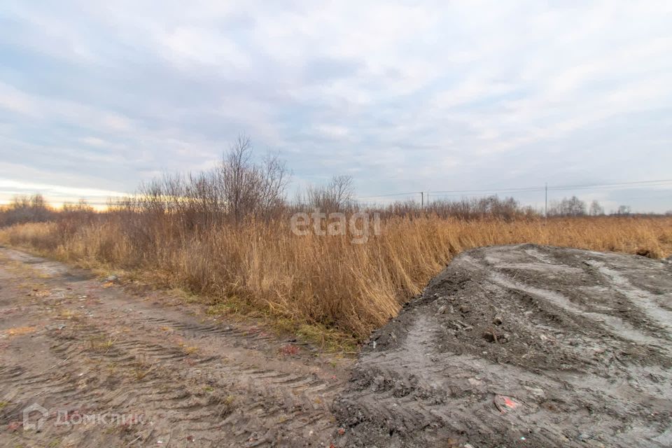 земля г Тюмень снт Матрешка городской округ Тюмень, Листопадная улица фото 9