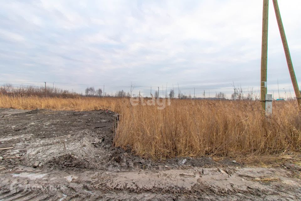 земля г Тюмень снт Матрешка городской округ Тюмень, Листопадная улица фото 8