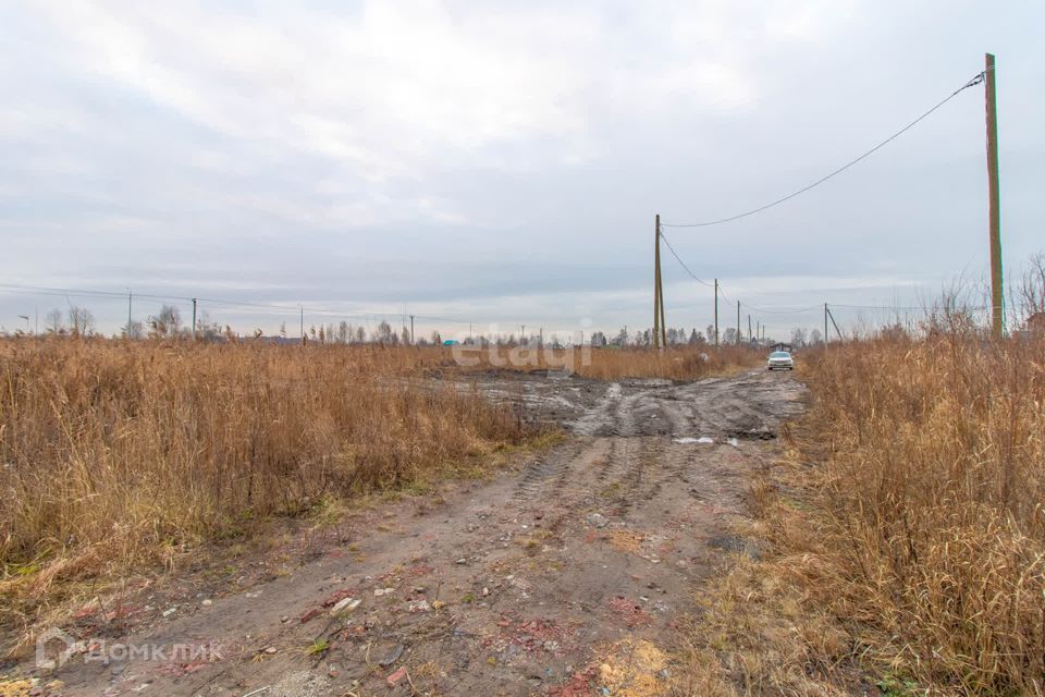 земля г Тюмень снт Матрешка городской округ Тюмень, Листопадная улица фото 10