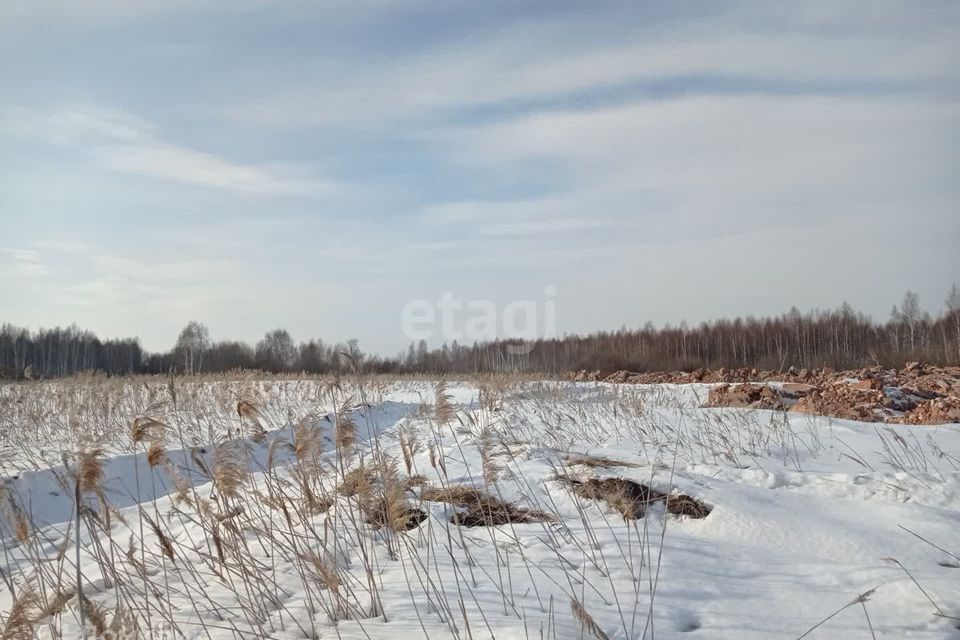 земля городской округ Верхняя Пышма, СНТ Золотое Яблоко фото 7