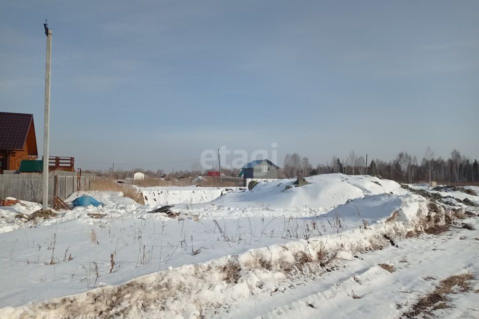 земля городской округ Верхняя Пышма, СНТ Золотое Яблоко фото 10